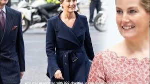 Cardinal Pulse Volume 5: Elf or Home Alone