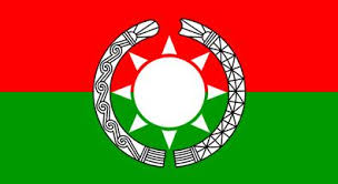Kachin National Organization flag