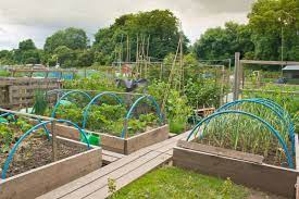 You can make a bit of cash, get the garden sorted (with no effort on your part), and potentially have free fruit and veg through the year. How To Construct Raised Beds Raised Deep Bed Growing