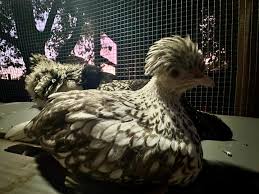 Instagram photo by Mark Poolos • Oct 8, 2024 at 4:51 PM