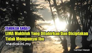 Ya allah kami mohon ke padamu kebaikan virus ini, kebaikan yang ada di dalamnya dan kebaikan yang engkau kirimkan denganya. Tahukah Anda 5 Makhluk Yang Dilahirkan Tanpa Ibu