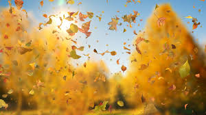Maybe you would like to learn more about one of these? Autumn Fall Leaves Sideways Downloops Creative Motion Backgrounds