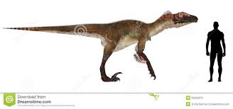 The ultimate guide for utahraptors. Utahraptor Grossen Vergleich Stock Abbildung Illustration Von Durchschnitt Reptil 25353876