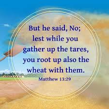 16 let the word of christ dwell in you richly in all wisdom; Bible Verse Matthew 13 29