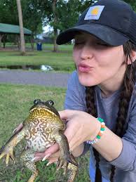 Boreal toad characteristics in Alberta