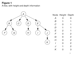 Height is a physical quantity with the dimensions of length. Trees Ppt Download