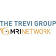 The Trevi Group