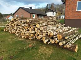 Image result for site:byggahus.se älvsborgs län