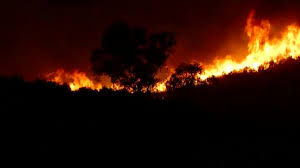 Mantente informado con las últimas noticias, videos y fotos de incendios que te brinda univision | univision. Situacion De Los Incendios Forestales En Espana En Andalucia Estan Controlados Pero En Extremadura Todavia No Marca Com