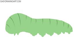 Caterpillar Art Caterpillar Art Drawing Tutorial Easy Drawings