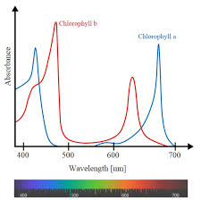 how does color spectrum affect growing weed grow weed easy