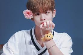 04 Liner Kpop Ezu Photo Mobile