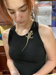 Bearded dragon care tips from a college teacher