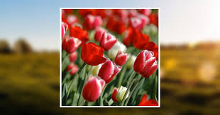 Glenna J. Barrs Hughes Obituary April 23, 2019