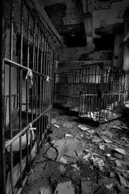 Psychiatric Hospital Abandoned Abandoned Asylums Abandoned Places