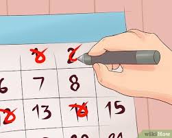 She was on deramaxx for pain and mirtazapine for. How To Know When To Euthanize Your Cat With Pictures Wikihow