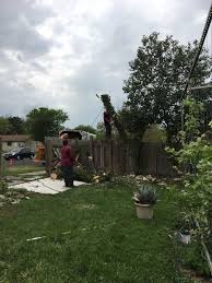 My partner and i want to improve our front yard landscaping. Abc Home Commercial Services 102 Photos 367 Reviews Pest Control 9475 E Highway 290 Austin Tx Phone Number