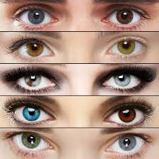In this lesson, you will find the meaning of this idiom phrase and examples showing how to properly use the phrase in conversation. What Your Eye Color Means Cute And Dainty