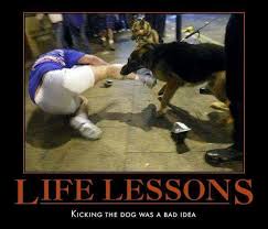Play Stupid Games Win Stupid Prizes Police Dogs Police Humor Military Working Dogs