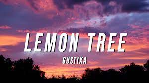 Gustixa Lemon Tree Lyrics Youtube Lyrics And Chords Lemon Tree Lyrics