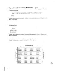 Learn vocabulary, terms, and more with flashcards, games, and other study tools. 9 Class Translation And Transcription Worksheet Maths Addition For Grade 1 Mock Budget Sheet Handling Data Nursery Pdf 1st Fraction Calamityjanetheshow