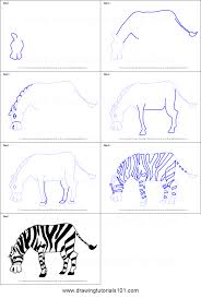 Let us introduce you to how to draw animals: Step By Step Drawing Zebra Novocom Top