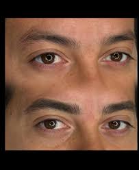 Photos by Nancy Ceballos (@nancyceballos.microblading) · December 3, 2024