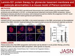 Males and females were equally affected. Laminin 521 Protein Therapy For Glomerular Basement Membrane And Podocyte Abnormalities In A Model Of Pierson Syndrome American Society Of Nephrology