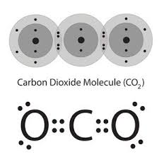 Multimedia Represent Bonding With Lewis Dot Diagrams Chapter 4 Lesson 6 Middle School Che Chemistry Education Interesting Science Facts College Chemistry