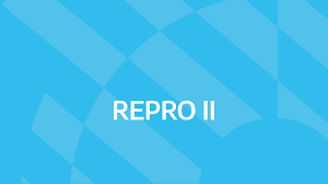 Hablando sobre este valor, le diremos cuántas veces al año se cobra el aguinaldo para que entienda y se programe para recibir este valor muy merecido por su esfuerzo laboral. Repro Ii Argentina Gob Ar