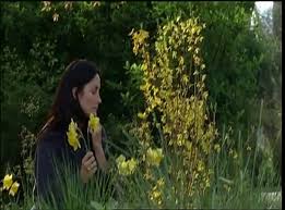 Camille sullivan (born july 7, 1984) is a canadian actress. Normal Trailer Dailymotion Video