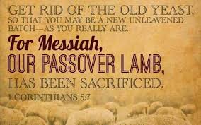 New Creation Passover Lamb Passover Feast Feast Of Unleavened Bread