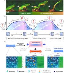 The most secure digital platform to get legally binding, electronically signed documents in just a few seconds. Bioinspired High Power Density Strong Contractile Hydrogel By Programmable Elastic Recoil