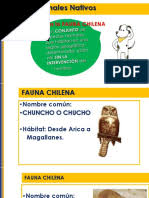 27 también las siete vacas flacas y feas que subían tras ellas son siete años; Vacas Flacas Pdpl