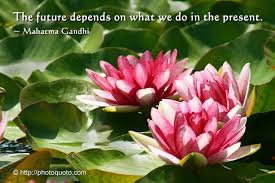 20 lotus flower quotes worth pondering 1. Lotus Flower Meaning Quotes Quotesgram