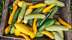 Maybe you would like to learn more about one of these? The Ultimate Guide On Summer Squash At The Farmer S Market