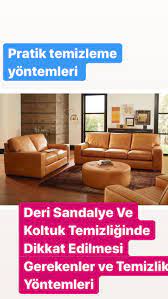 deri sandalye temizligi nasil yapilir kullanilan yontemleri ve malzeme
