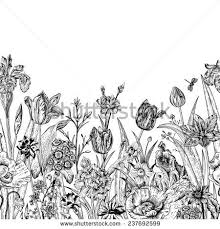 Spring Flowers Seamless Floral Border Poppies Iris Tulips Carnations Primroses Daffodils On A White Background Primroses Vintage Illustration Daffodils
