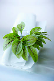 Baby char – License Images – 800645 ❘ StockFood