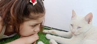 Naoto Matsumura, Guardian of Fukushima's Animals