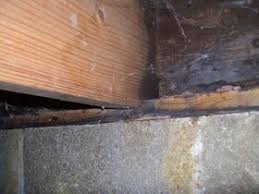 American Basement Solutions How To Fix And Repair Floor Joist Rot Repair Floors Wood Repair Basement Repair