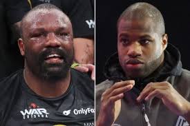 Terrifying moment boxer is left shaking