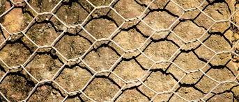 Though this may be easier said than done depending on how your garden is designed and where it is located. How To Actually Stop Cats From Fouling In Your Garden For Good