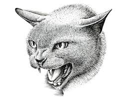 How To Draw A Cat With Pen And Ink