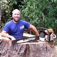 Colonial tree service ⭐ , canada, georgetown, 36 armstrong ave: Colonial Tree Service Waukesha Wi Alignable