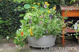 By growing your own edible flowers, you are assured of their freshness and that they are grown organically. Edible Flowers How To Grow Them And How To Eat Them Grown To Cook