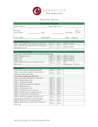 18 Valid Medical Chart Audit Form
