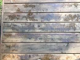 A 946 ml can (1 quart) will seal approx. Cut N Seal Waterproofing Wood Sealant Cedar Brown 946 Ml Aa574200 Rona
