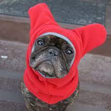 Kickstarter Campaign For Dog Hats Saves Canine Ears From The Cold Dog Hats Dog Activities Pets
