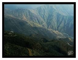 1.8 منتزه الملك عبد العزيز. Pin On Favorite Places Spaces